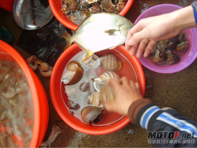 今日海鲜_海鲜图片大全_海鲜疙瘩汤(2)