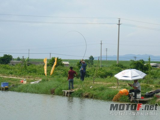 P1150313_缩小大小.JPG