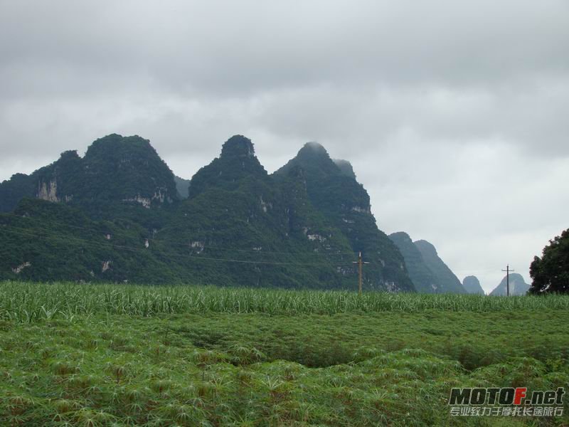 调整大小 DSC07828.JPG