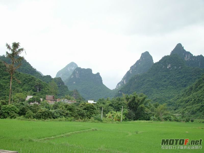 调整大小 DSC07844.JPG