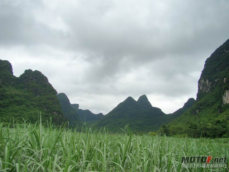 调整大小 DSC07841.JPG
