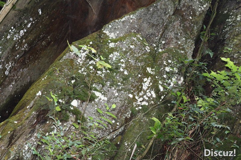 照片 156.jpg