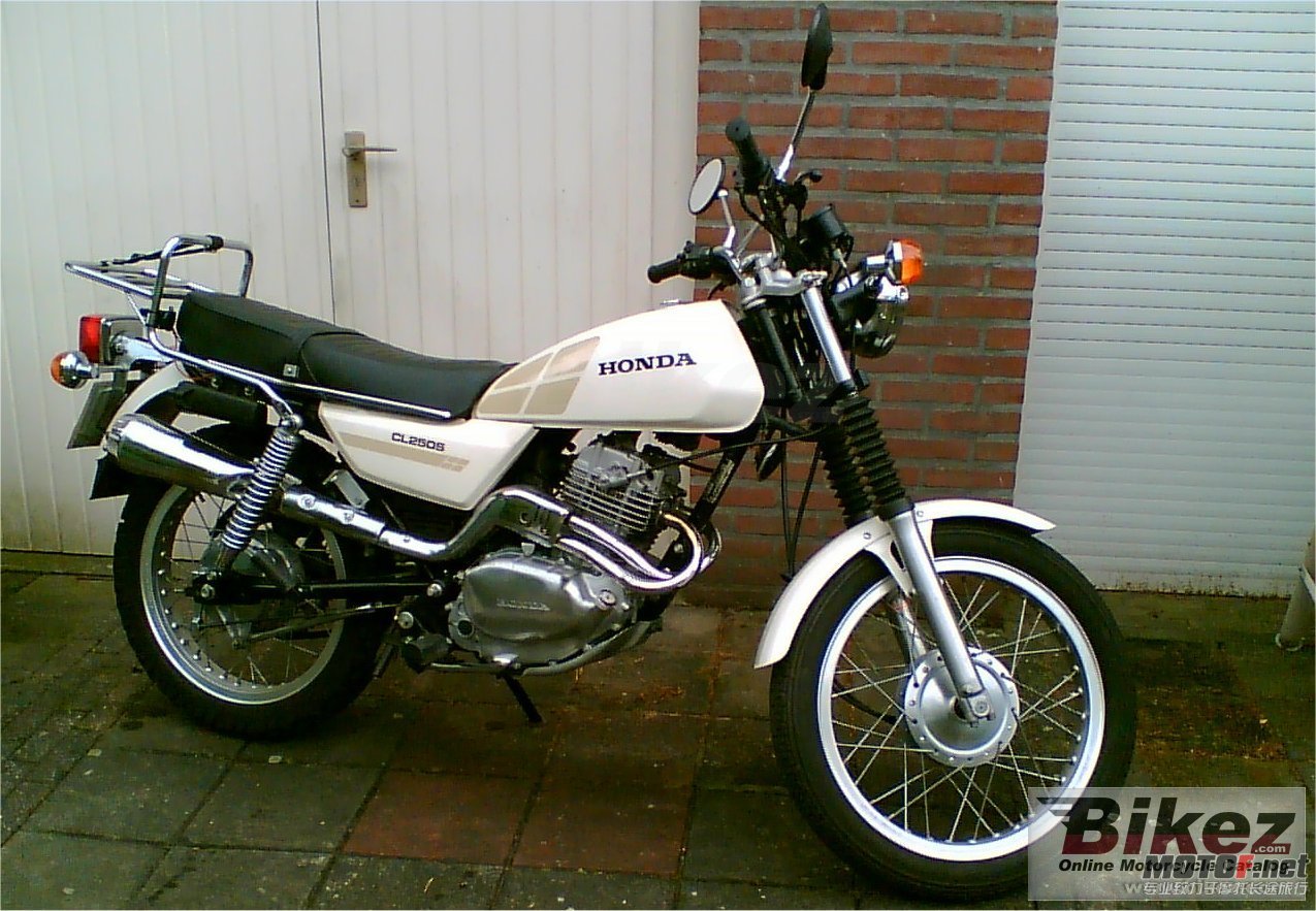 19379_0_1_4_cl 250 s_Frank Faasen Netherlands.jpg