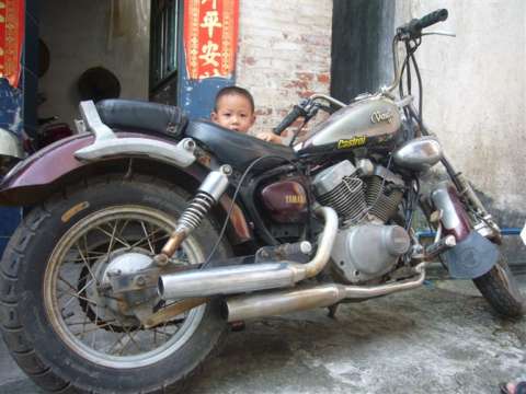 XV250