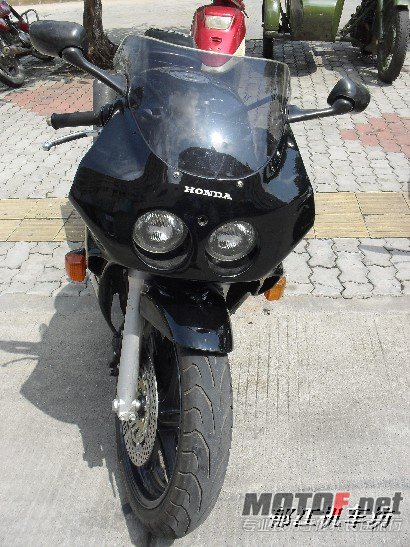 BigBull_SDC11446.JPG