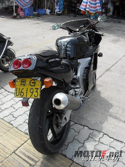BigBull_SDC11449.JPG