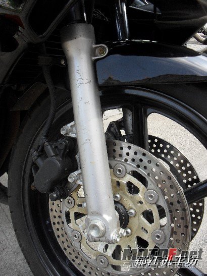 BigBull_SDC11453.JPG