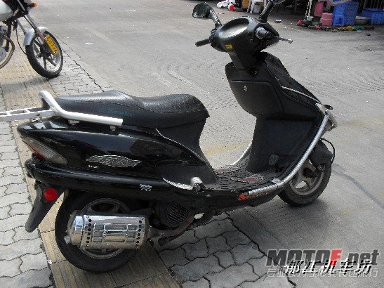 BigBull_SDC11458.JPG