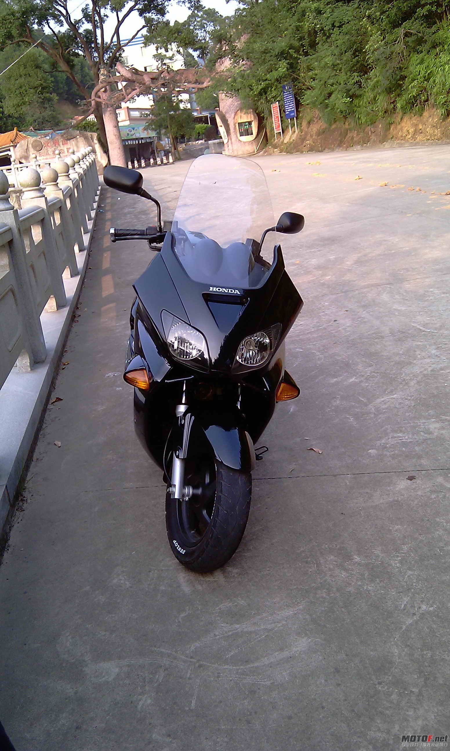 IMAG0470.jpg