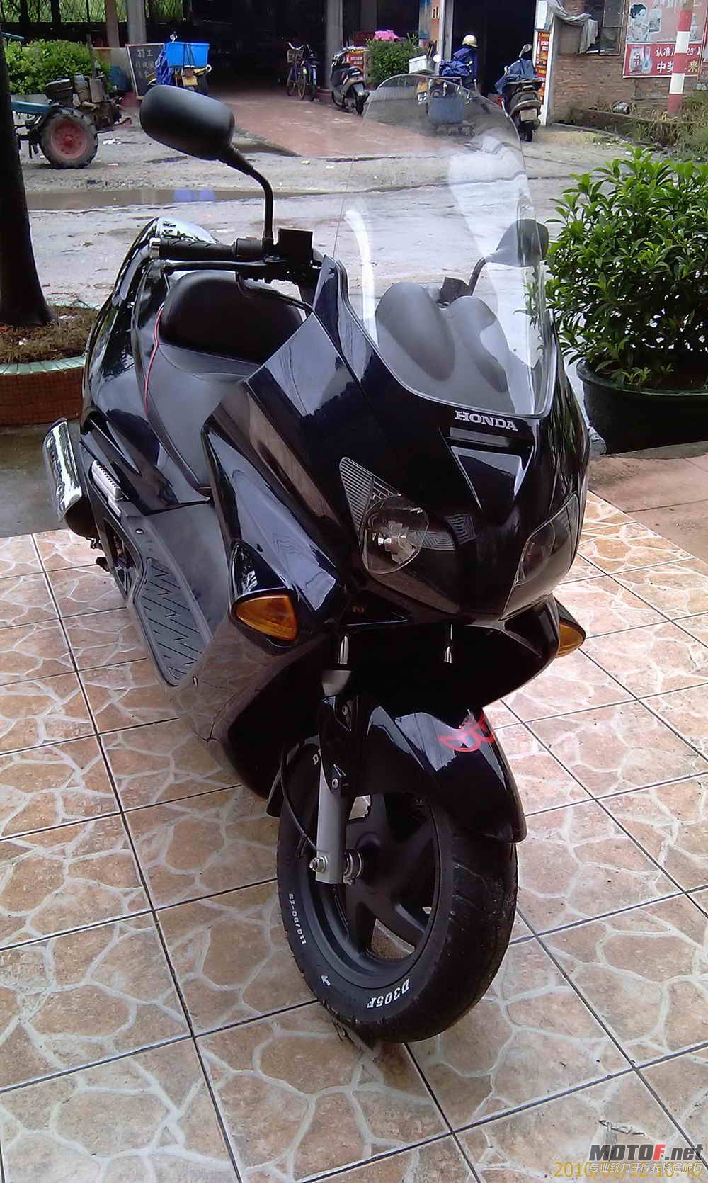 IMAG0502.jpg