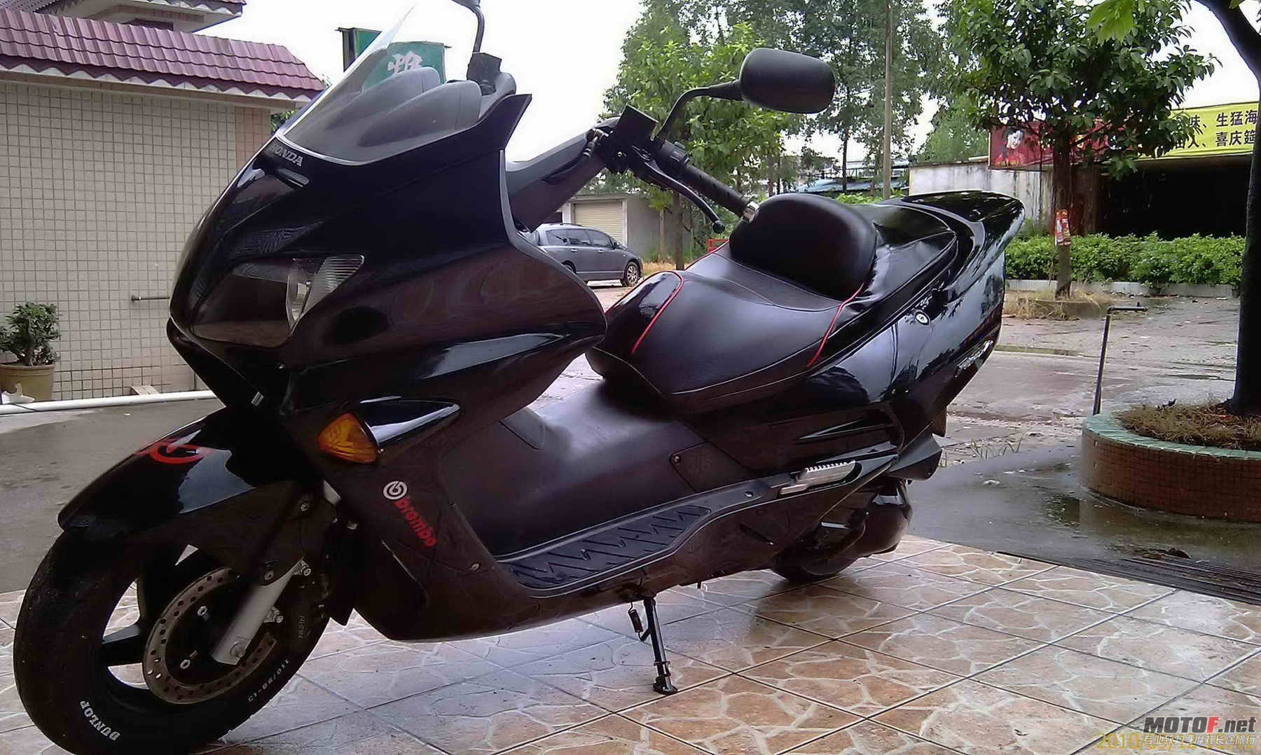 IMAG0503.jpg