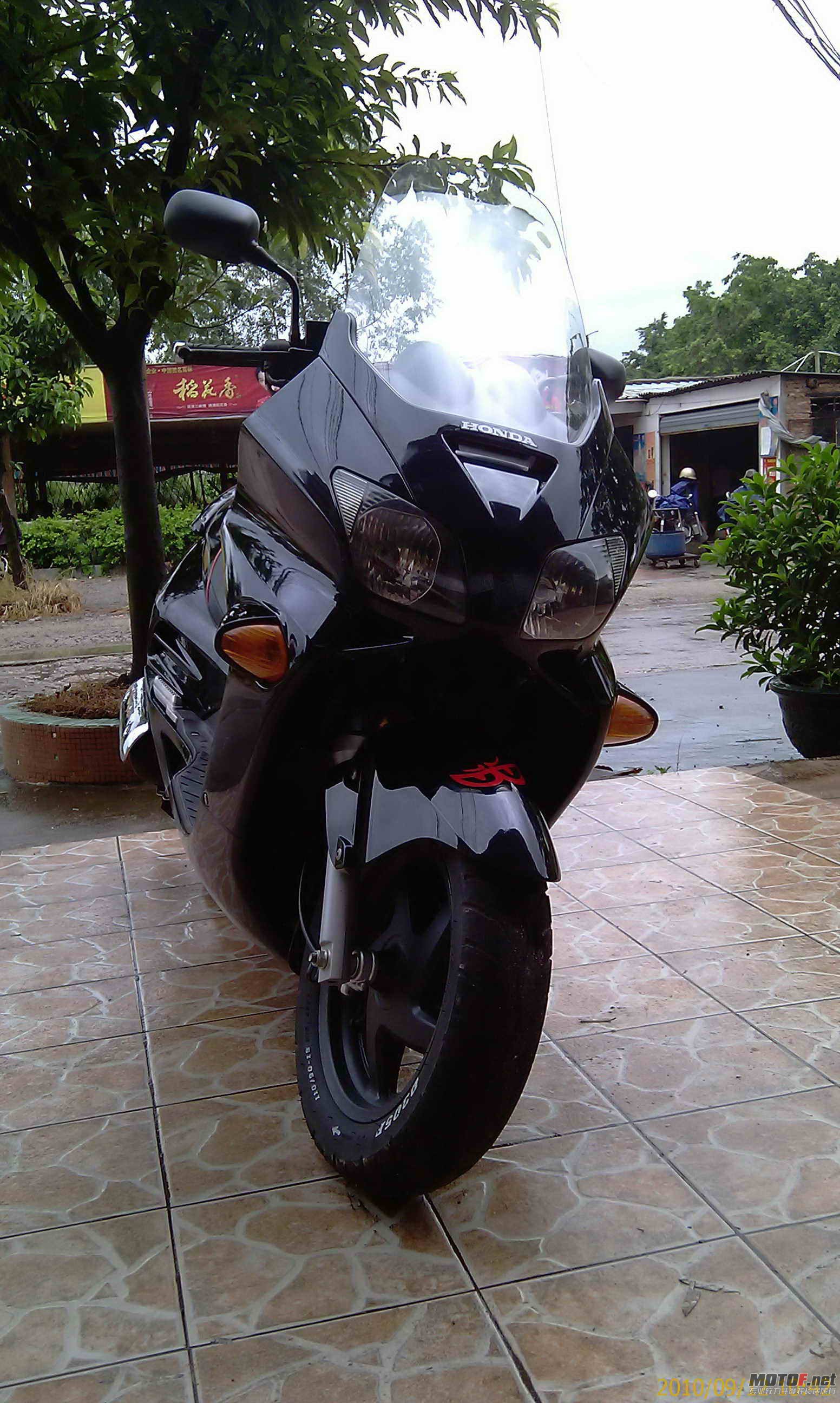 IMAG0507.jpg