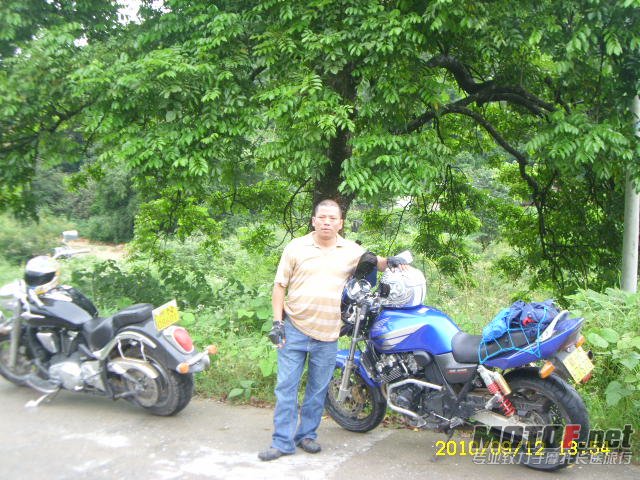 SL701229.JPG
