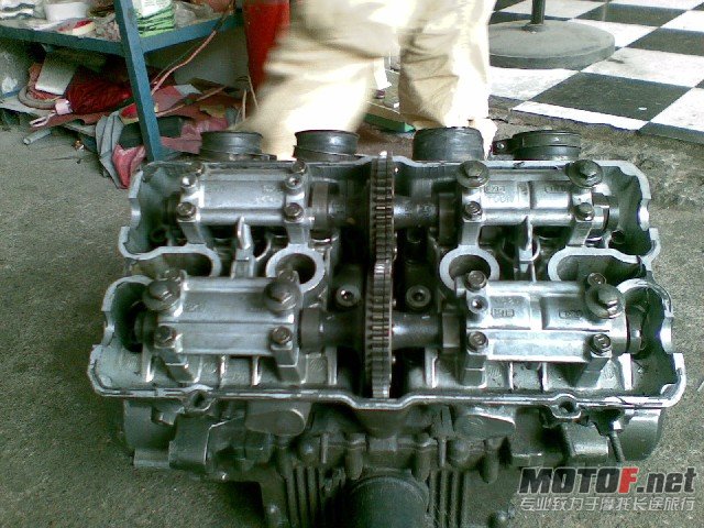 BigBull_20100913_002.jpg