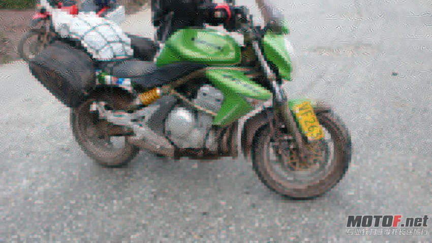 P1090471.jpg