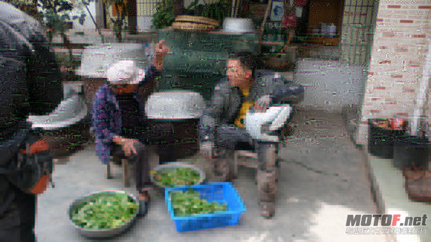 P1090474.jpg