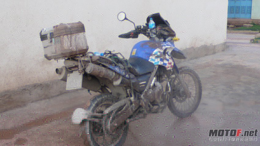 P1090515.jpg