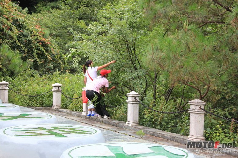 照片 382.jpg