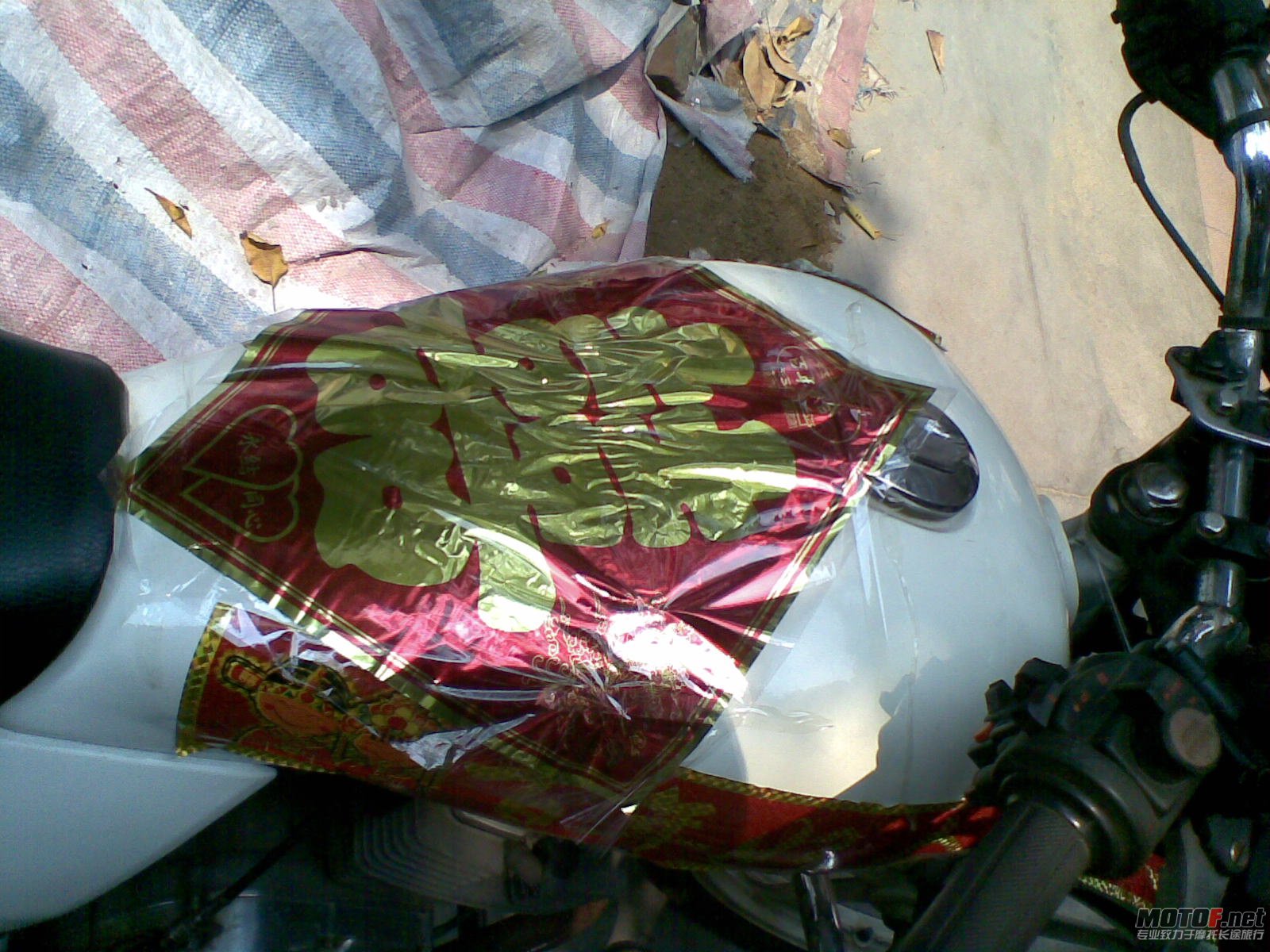 20100918063.jpg