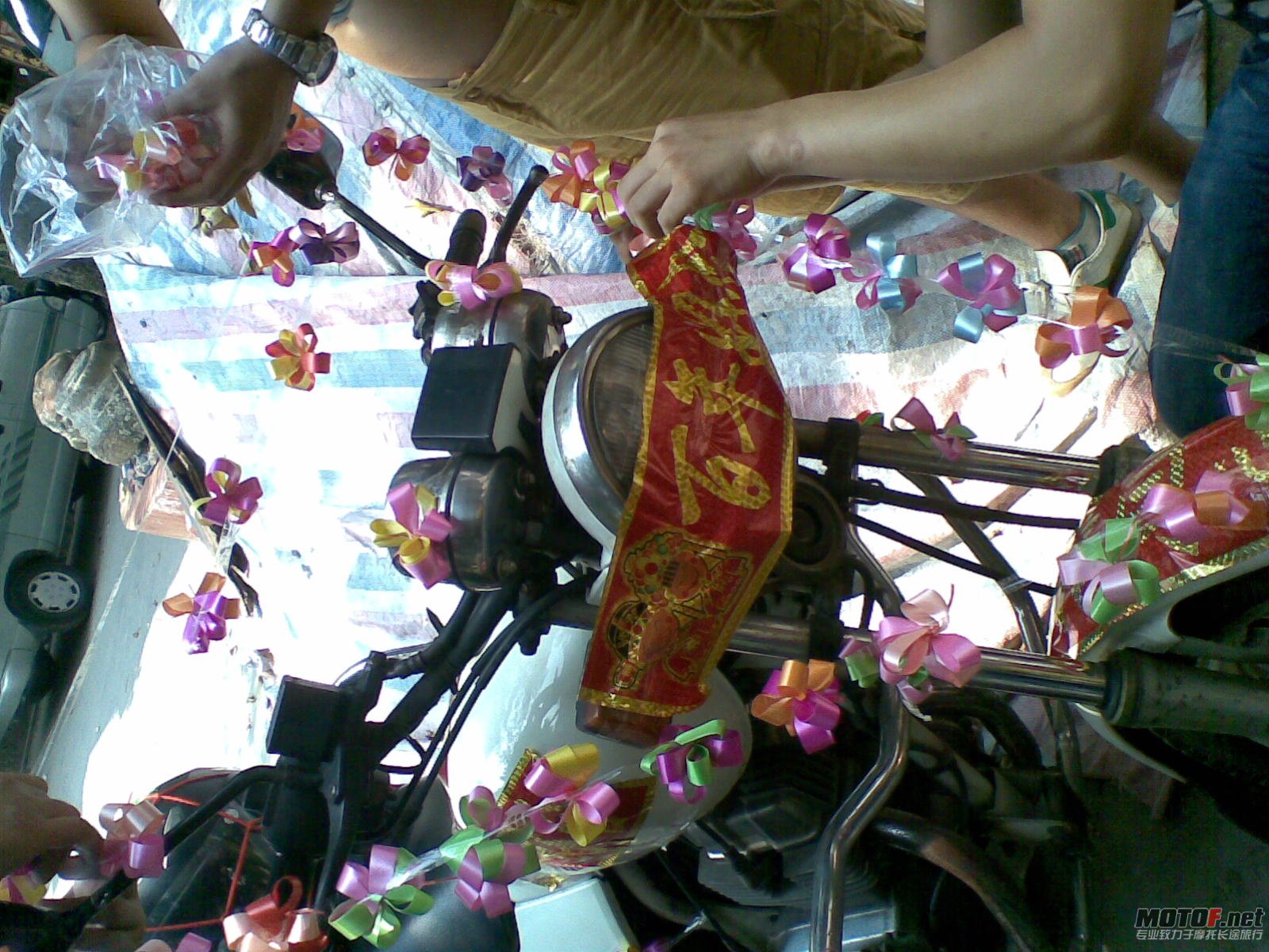 20100918066.jpg