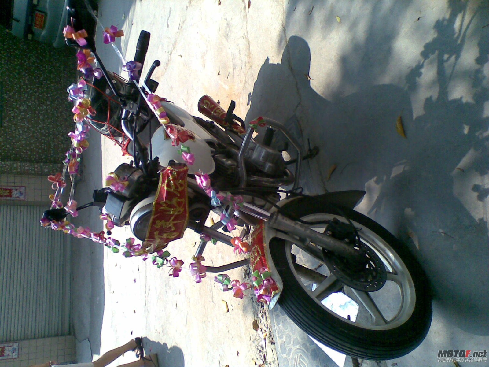 20100918080.jpg