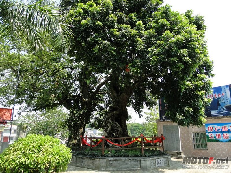 举人村风景一角