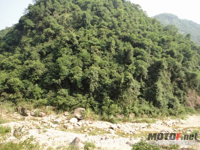 调整大小 DSC01318.JPG
