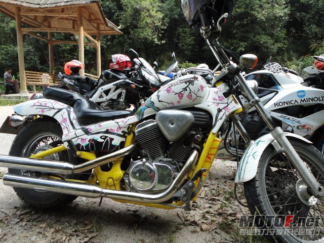 DSC01337.JPG