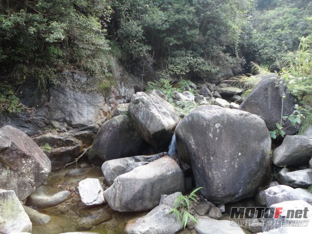 DSC01340.JPG