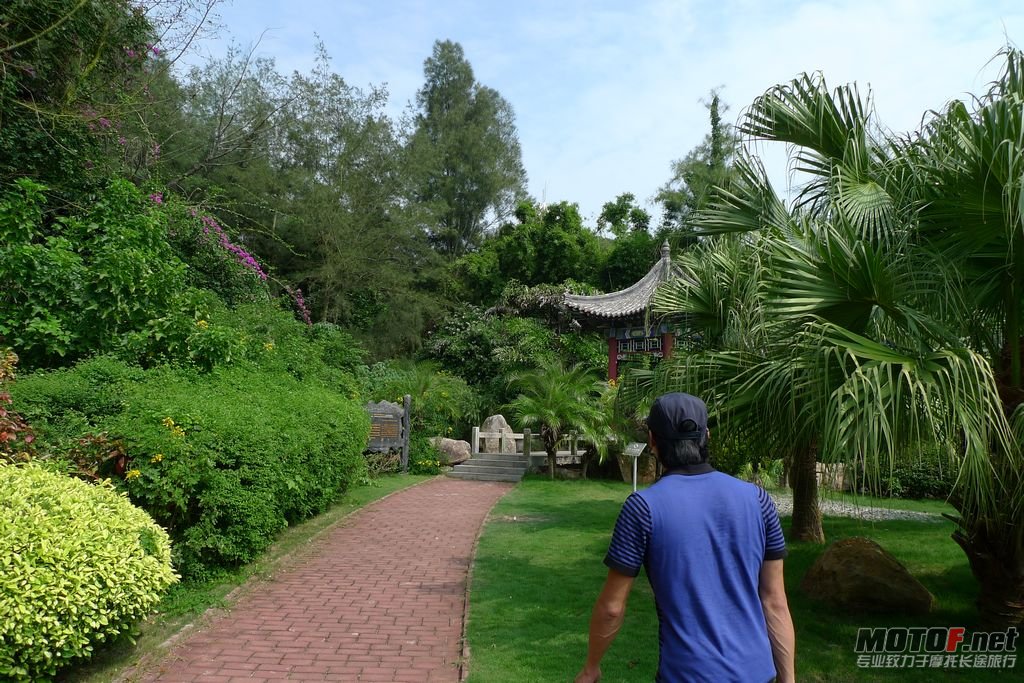 P1050824.jpg