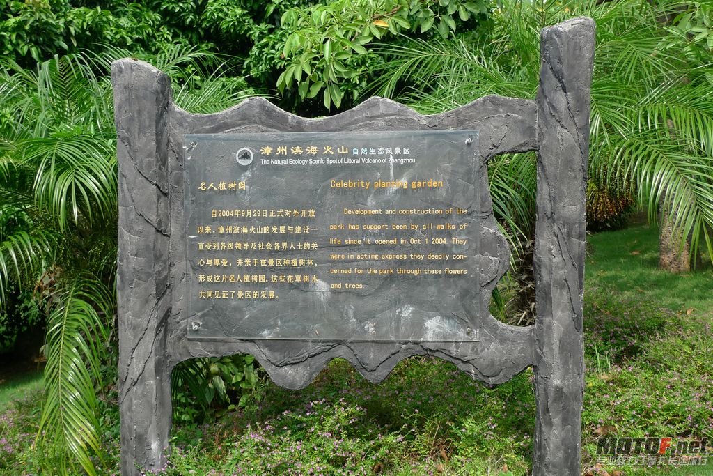 P1050830.jpg