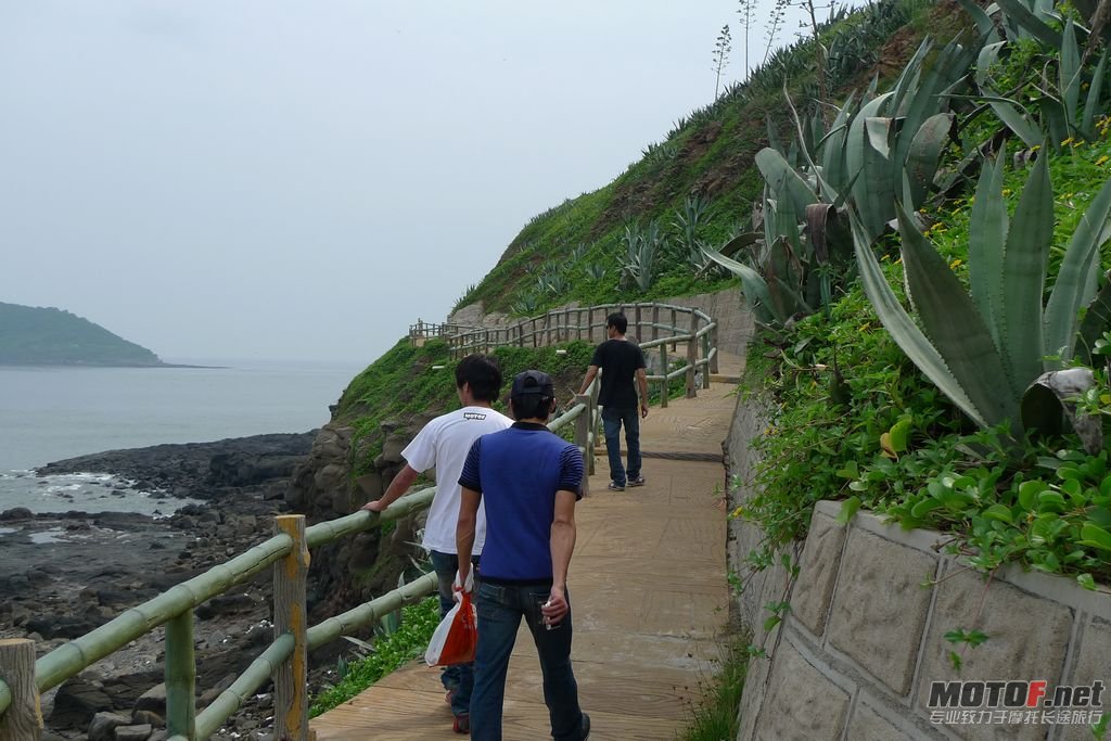 P1050843.jpg