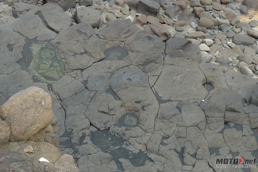 P1050844.jpg