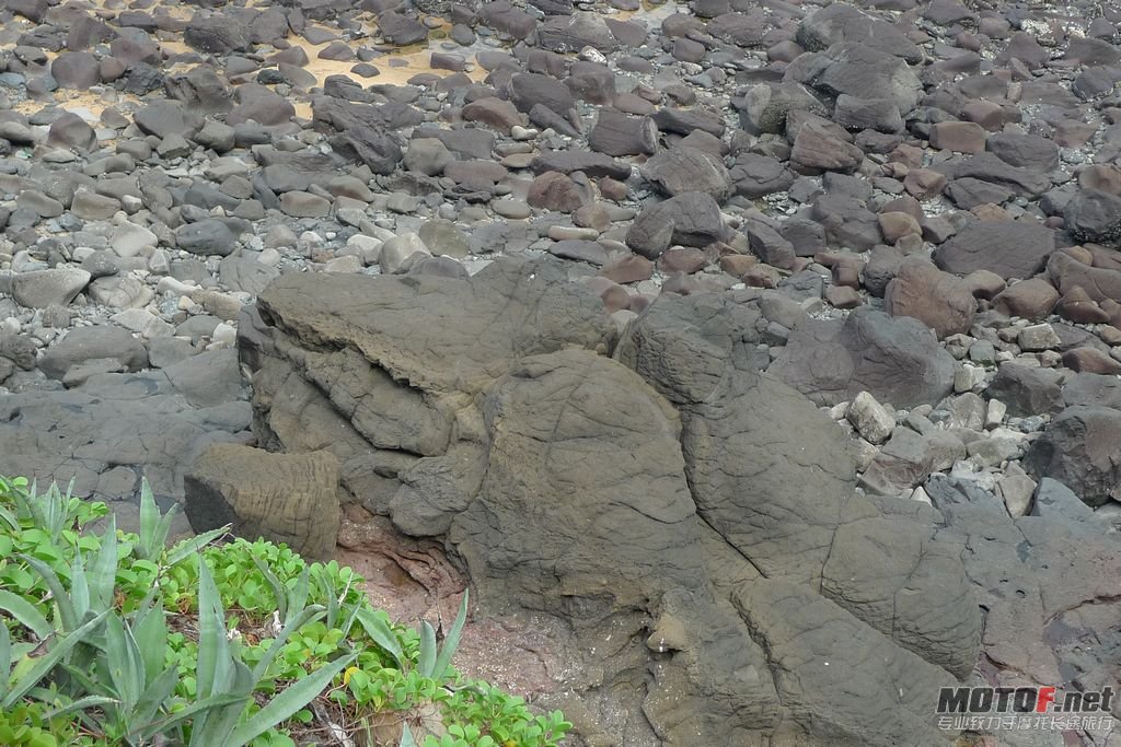P1050847.jpg
