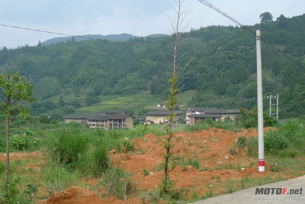 P1050941.jpg