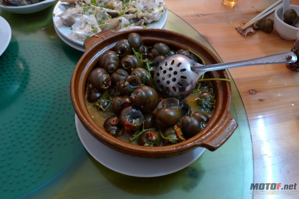 P1060002.jpg