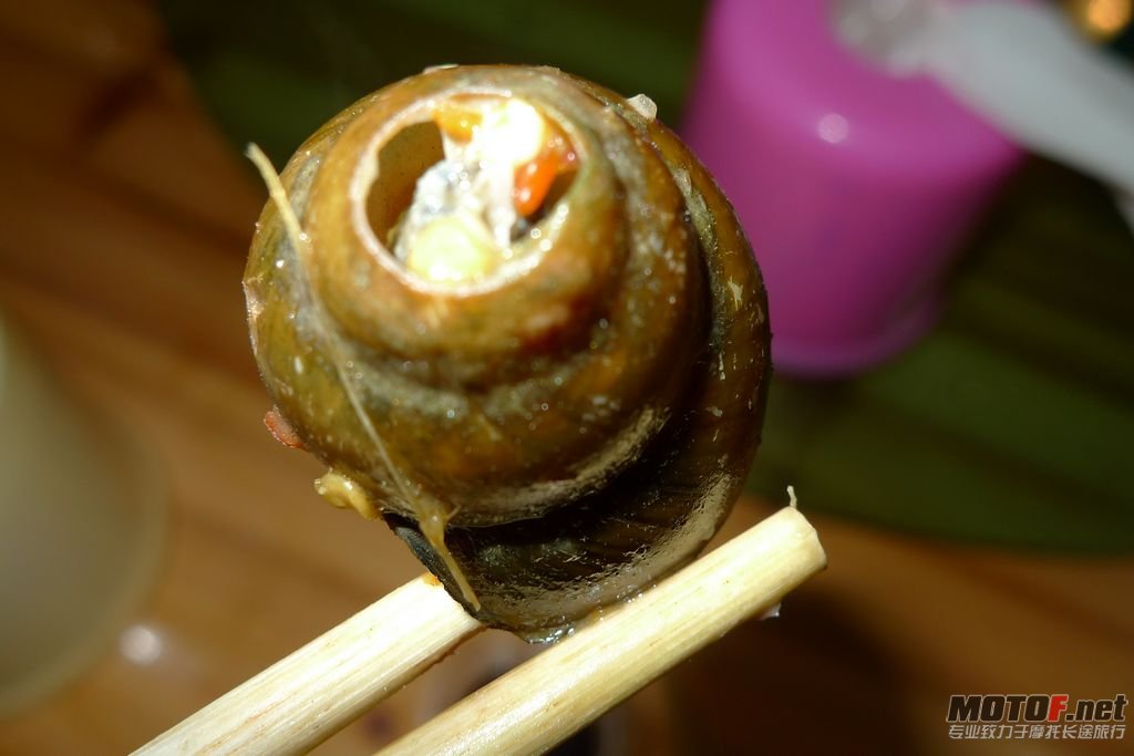 P1060007.jpg