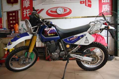 铃木 大眼250