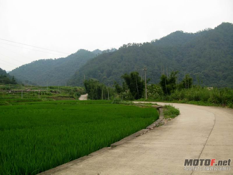 路 01.JPG