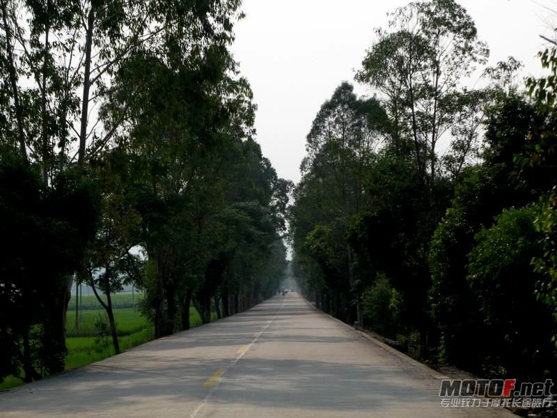 路 10.JPG