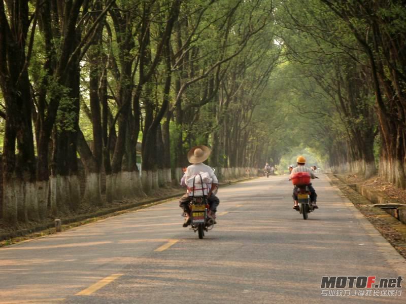 路 12.JPG
