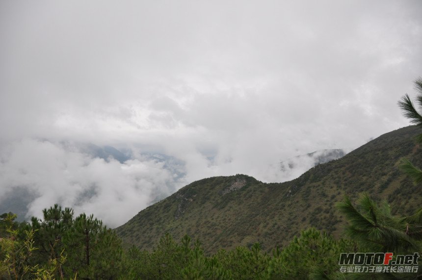 DSC_0083.jpg