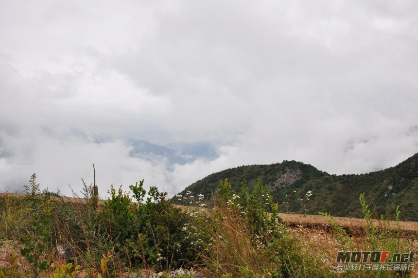 DSC_0088.jpg