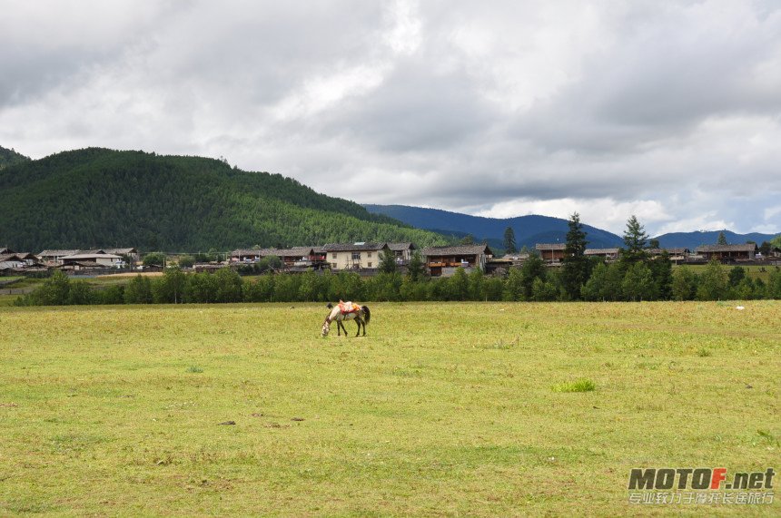 DSC_0122.jpg