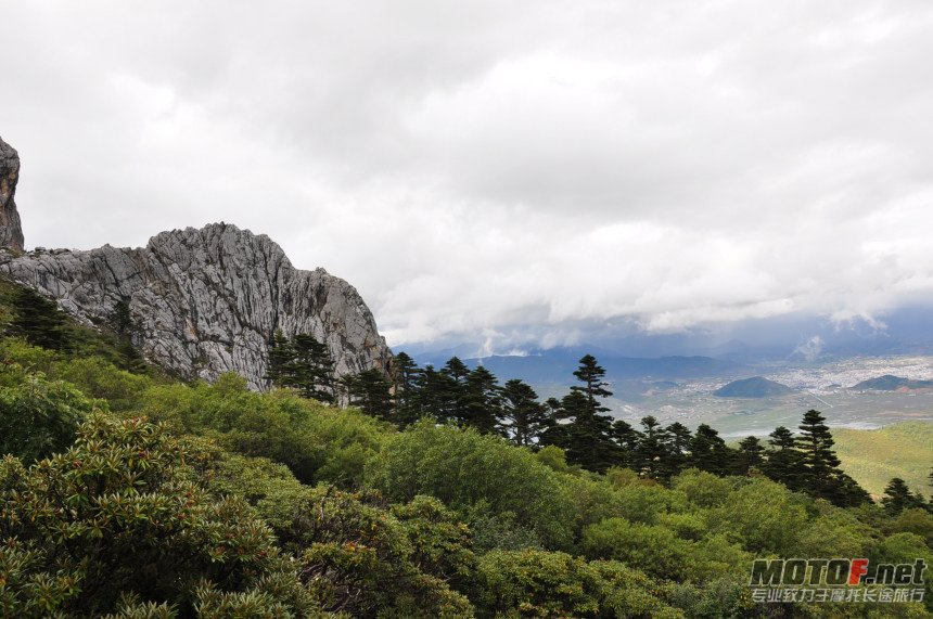 DSC_0184.jpg