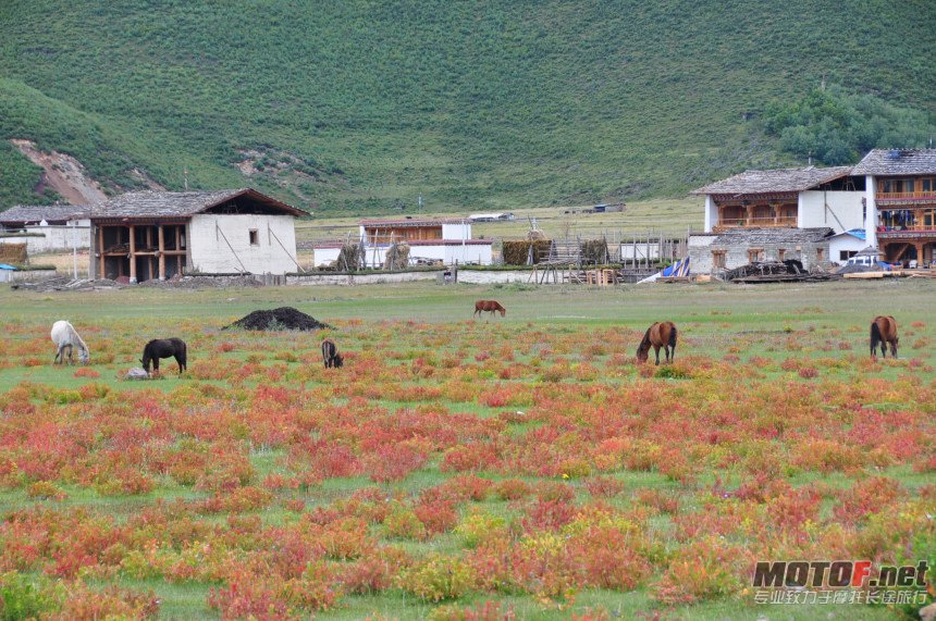 DSC_0206.jpg