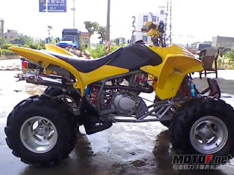 250沙滩车