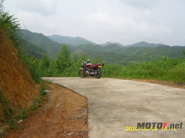 SL701346.JPG