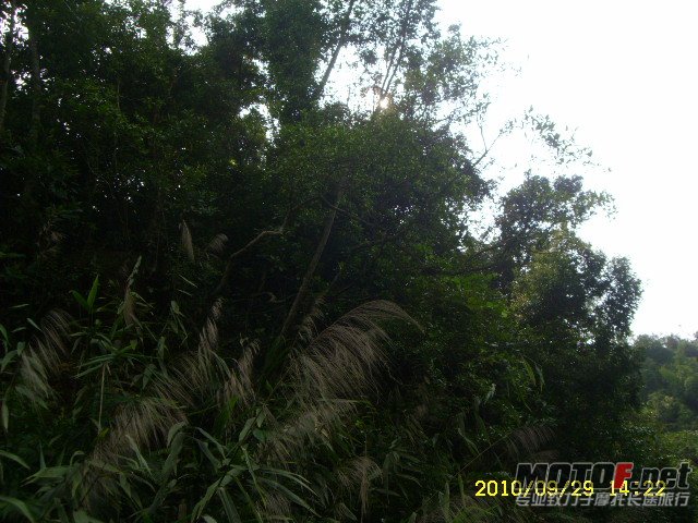 SL701348.JPG