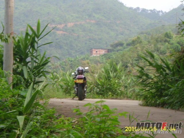 SL701359.JPG